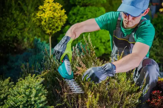 landscaping services Des Allemands